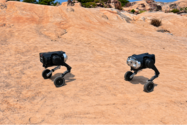 Two separate D1 two-wheel-legged robot modules positioned on uneven rocky terrain outdoors.