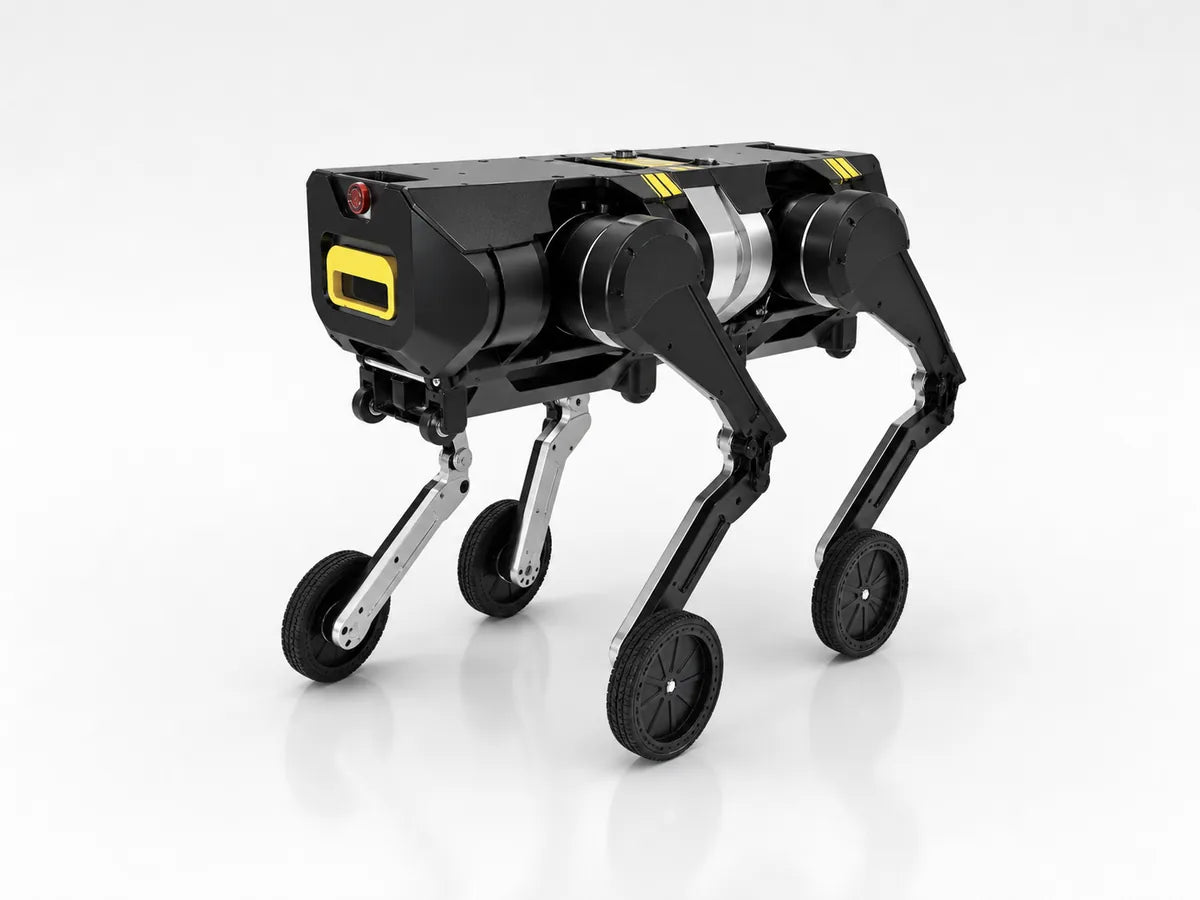 2025 D1 D-infinite fully modular embodied intelligent robot launch